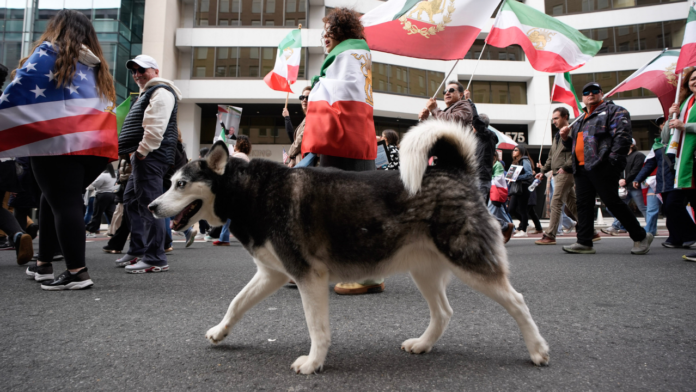 With dogs, dance and uncovered hair, Iranians defy 'unholy alliance' of socialists, radicals: ‘Hypocrites!’