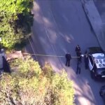 Woman arrested after allegedly firing shots at Rihanna's L.A. home, police say