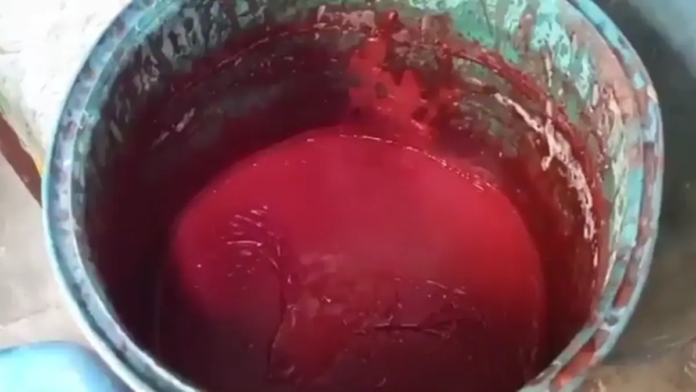 200 Litres of Chemical-Laced Sauce Served With Momos, Chowmein Destroyed In Uttar Pradesh Raid