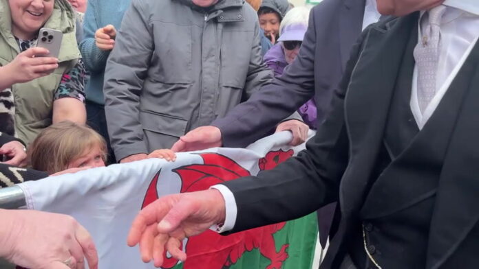 Video Player Placeholder