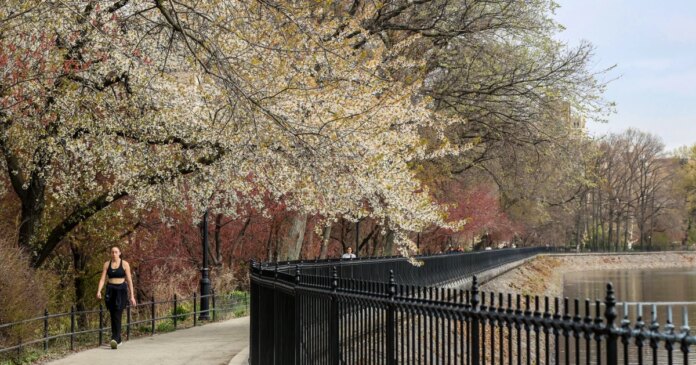 Another early heat wave hits this week, this time in the Northeast