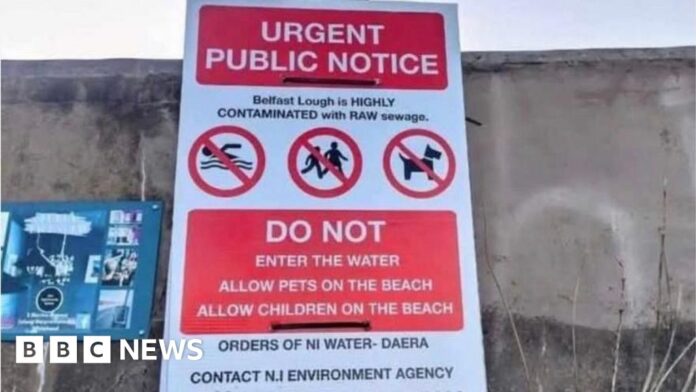 Belfast Lough: 'Raw sewage' posters at lough not official, says Andrew Muir