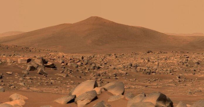 Could an Earthly Fungus Contaminate Mars? NASA May Have Found One Hardy Enough.