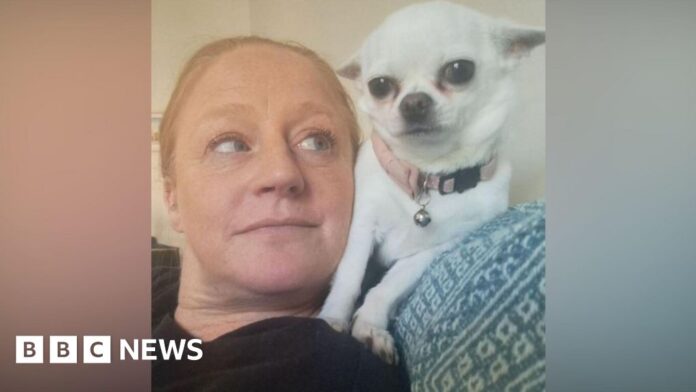 Eviction risk for Northamptonshire rescue centre as land for sale