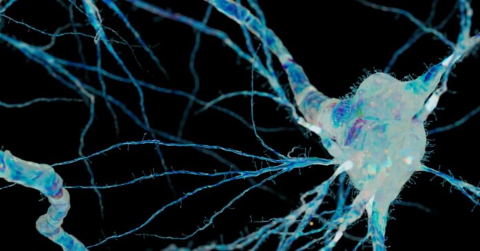 Experimental treatments brings hope to ALS patients