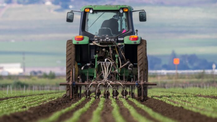 From war to weather: A 'super El Niño' event poses fresh risks to global food costs