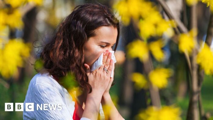 Hay fever misery does last longer - here's how to cope