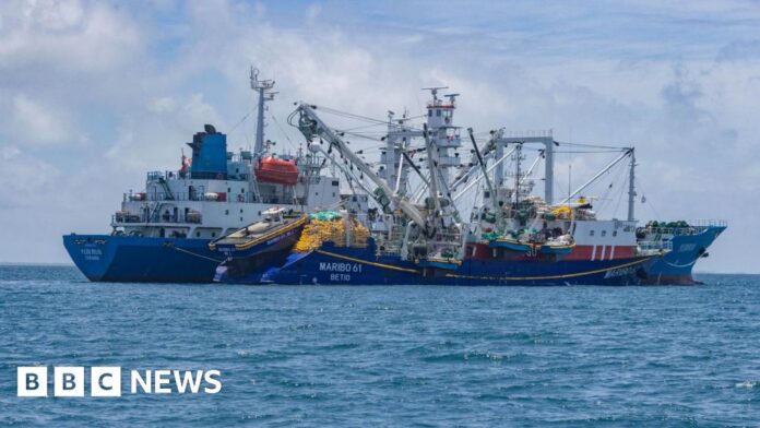 How climate change threatens the economic backbone of the Pacific