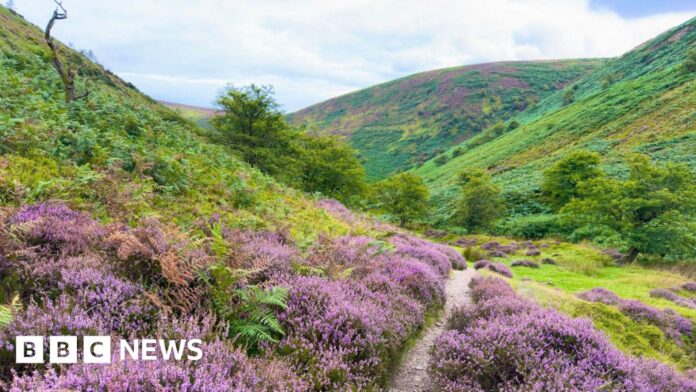 How do you restore Shropshire's wild spaces?