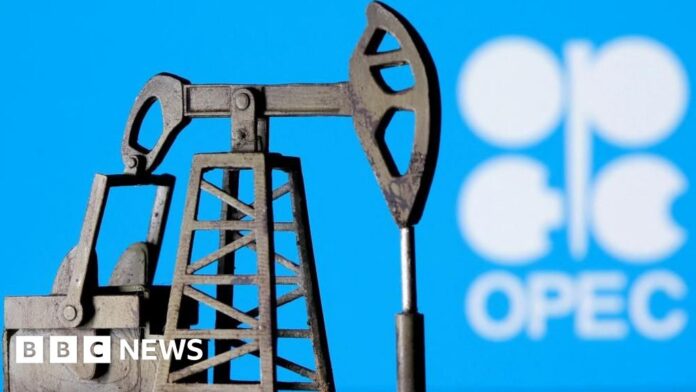 In five charts - How UAE's exit could affect Opec's influence over the oil price