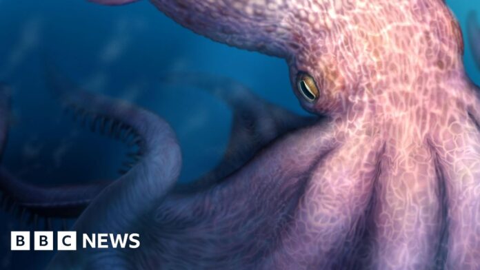Meet the 19 metre octopus that may have prowled ancient seas