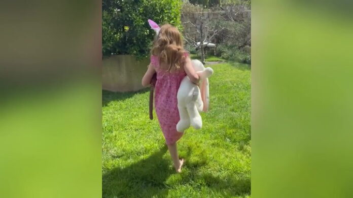 Video Player Placeholder