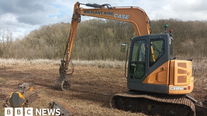 More cash to tackle willow threat at Muxton Marsh wetland 