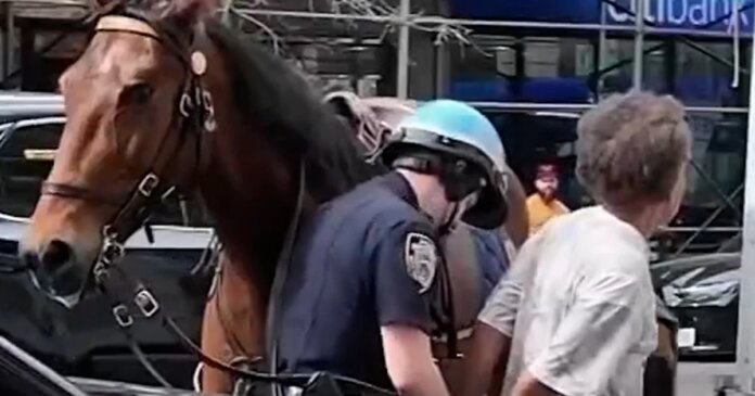 Police officer on horseback chases purse thief in New York