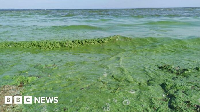 'Significant change' needed to tackle agri pollution