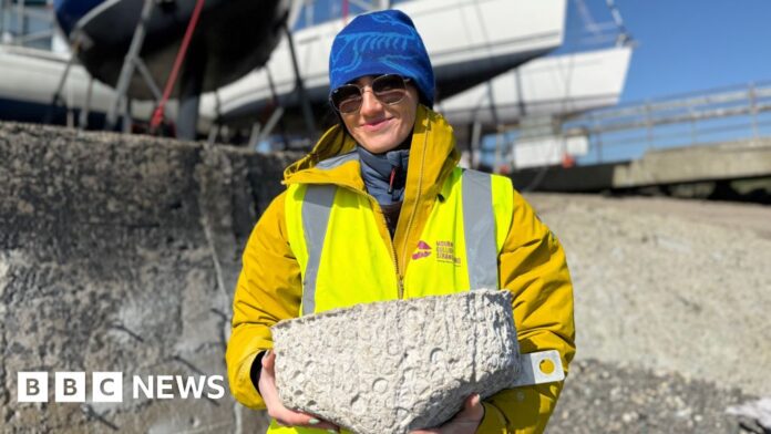 Strangford: Marine makeover for yacht club's seawall