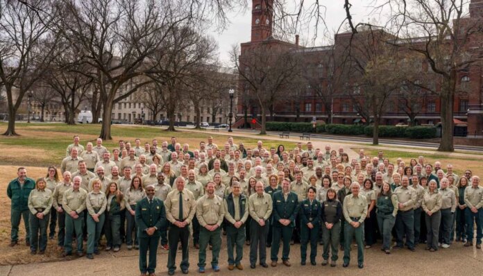 Trump administration dismantling US Forest Service: Here's what it means 