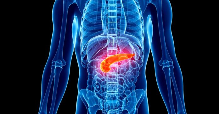 Two Drugs Stir Hope for Treatment of Deadly Pancreatic Cancer