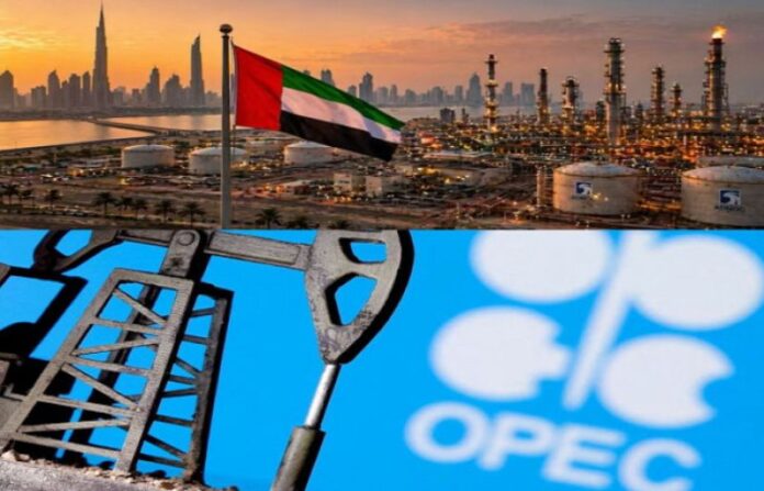 UAE exit weakens OPEC+ influence over oil market, alliance holds firm - SUCH TV