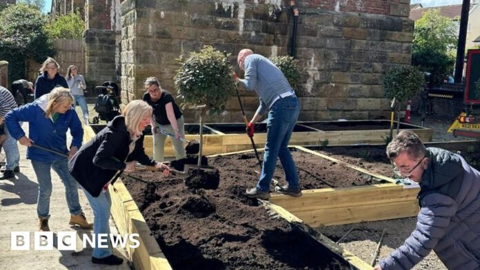 Wellbeing garden opens in Yarm to combat isolation