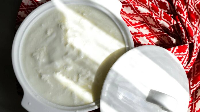 What Is Skyr, The Icelandic Yoghurt? How Is It Different From Dahi And Greek Yoghurt?