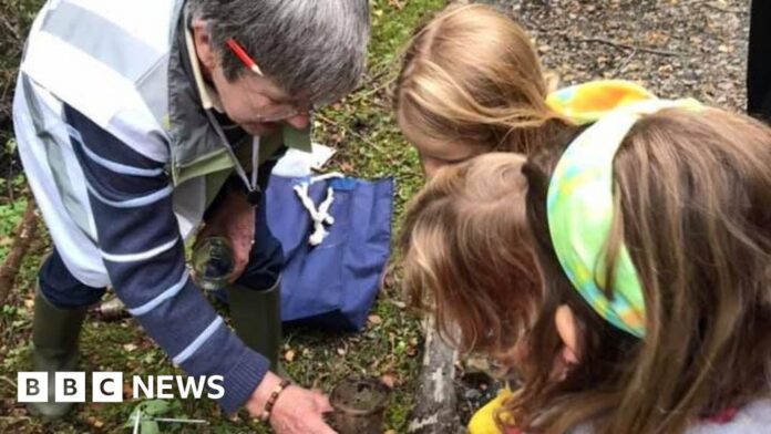 Where, when and how can you get involved in Manx Wildlife Week?