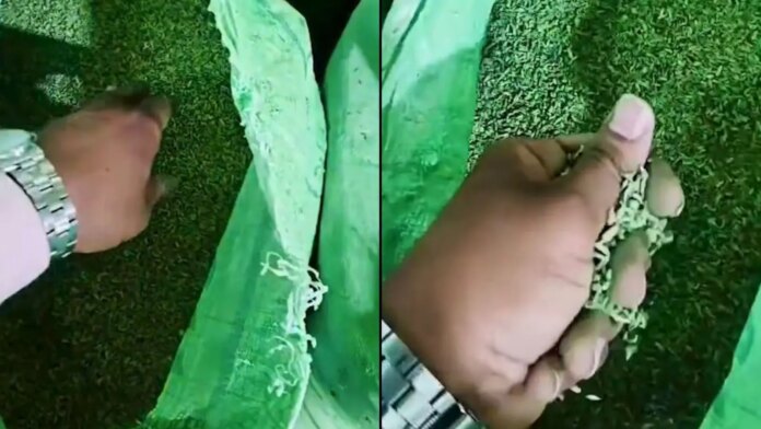 3,500 kg Of <i>Saunf</i> Adulterated With Unsafe Green Colour Seized In Gujarat