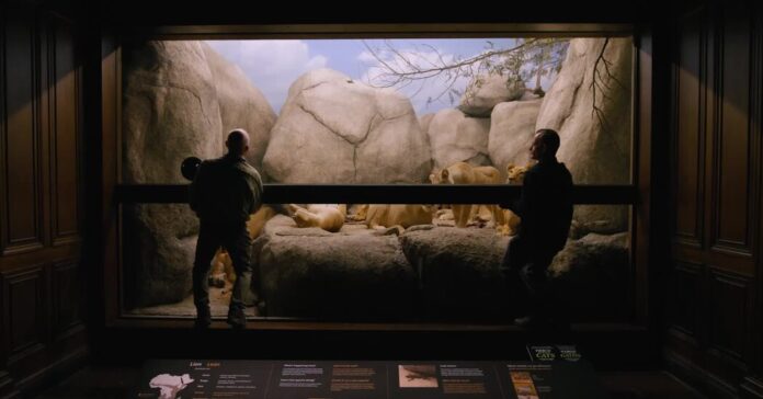 A Taxidermist Gives Dead Animals a New Life
