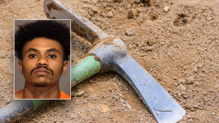 California man sentenced to prison for using pickaxe to kill teen brother with cerebral palsy
