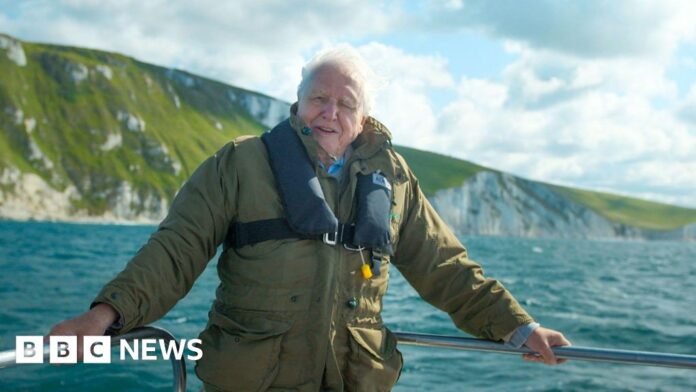 Celebrating David Attenborough's 100th birthday in the South