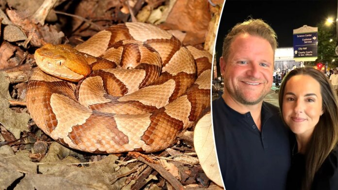 Copperhead snake bite leaves mayor’s wife in 'excruciating pain,' he reveals