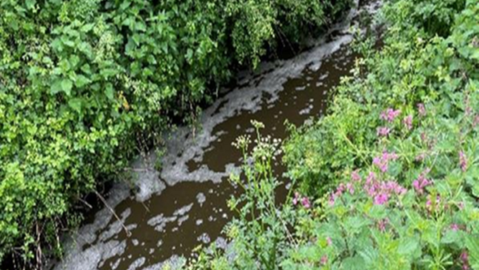 Dorset farm companies pay out to charity after slurry incidents