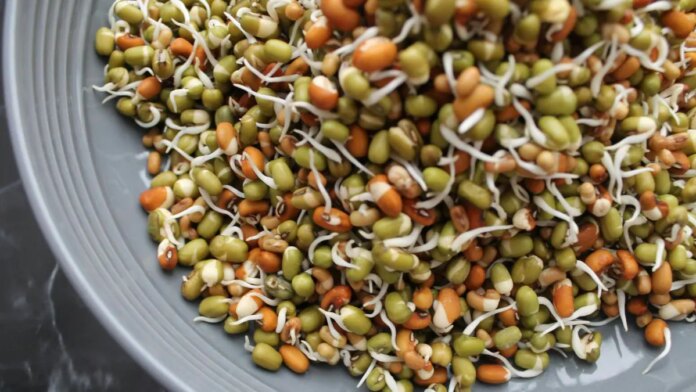 Easy To Make And Light On The Stomach, Sprouts Salad Is One Of The Best Cooling Dinner Meals