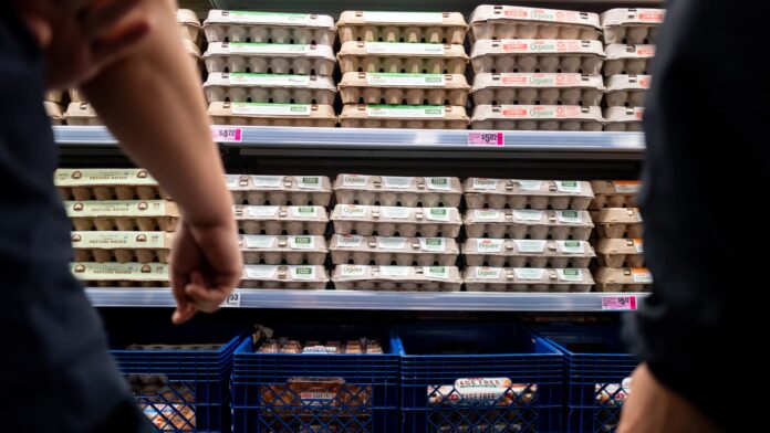 Egg prices are plunging due to oversupply — and producers say margins are taking a hit as costs rise