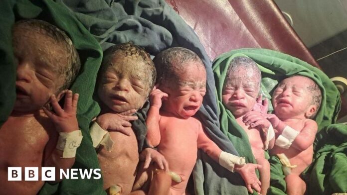 Ethiopian woman gives birth to rare  quintuplets
