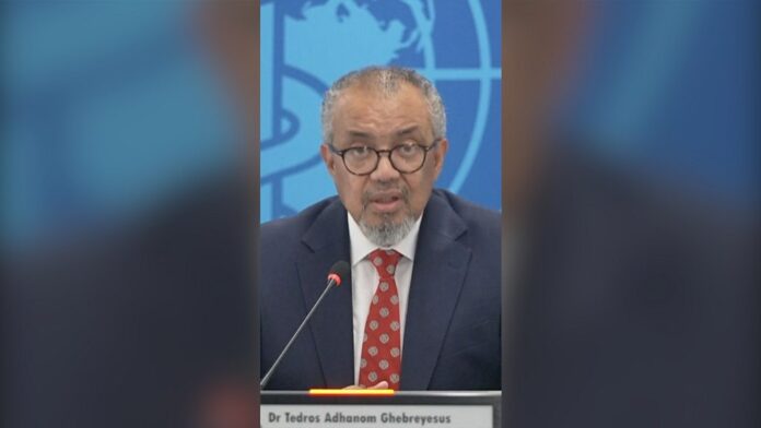 Hantavirus: WHO chief says public health risk is low