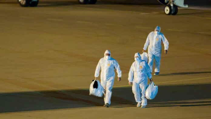 Hantavirus outbreak isn't another Covid pandemic – but experts say it's testing U.S. readiness