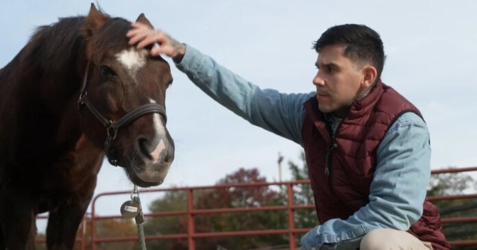 Horsepower: How horses are therapeutic