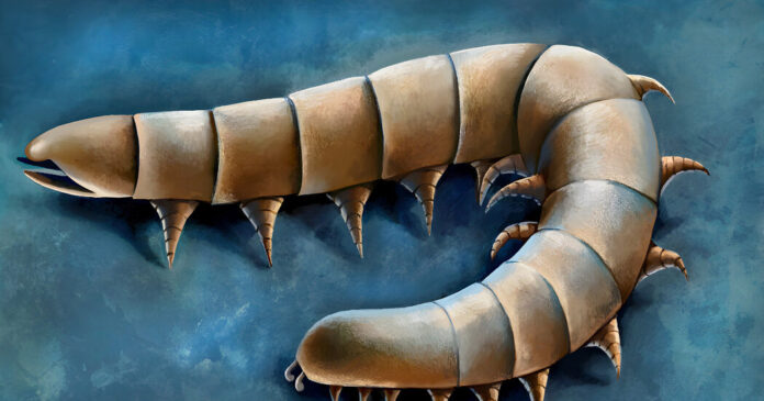 How Ancient Centipede Ancestors Conquered the Earth