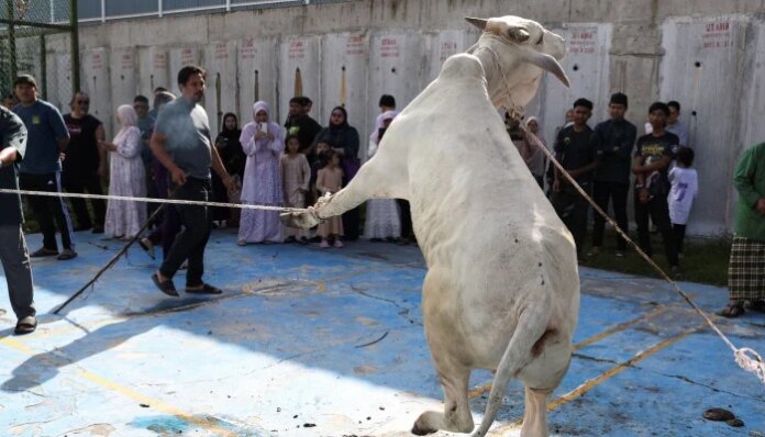 In pictures: From prayers to sacrifice, Muslims worldwide mark Eid ul Adha