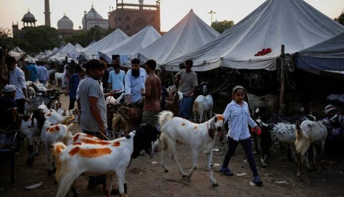 India bans cow, calf sacrifice, road blockades for Eid ul Adha prayer