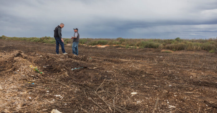 Military Bases Are Rife With ‘Forever Chemicals.’ New Mexico Wants Them Cleaned Up.