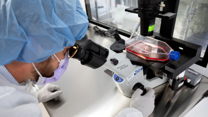 New cancer tech sends chemo straight to tumors