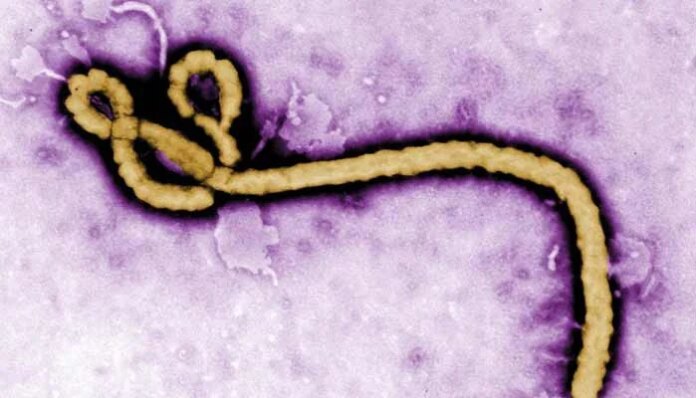 No vaccine for latest Ebola outbreak, warns DRC as toll hits 80