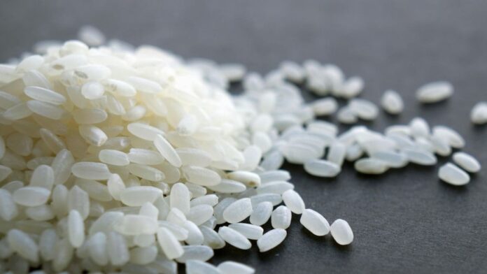 PM Modi Gifts Assam's Joha Rice To UN Food Panel Chief. Why This Tiny Fragrant Grain Is So Special