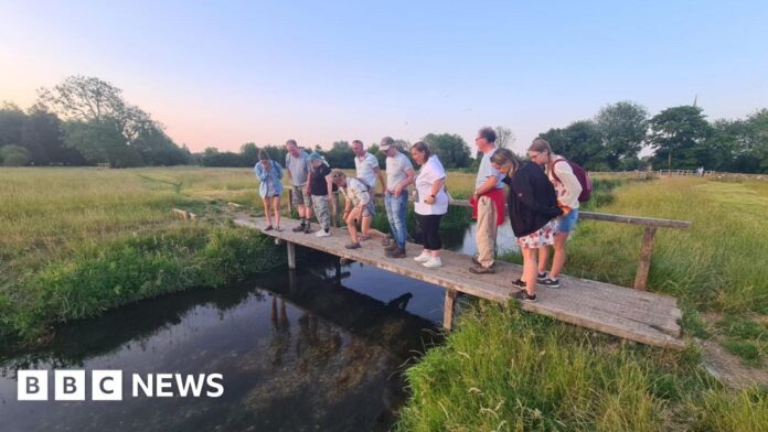 Project to bring wildlife closer to people in Salisbury