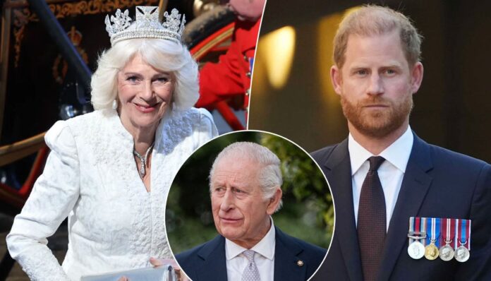 Queen Camilla takes revenge on Prince Harry with bold move