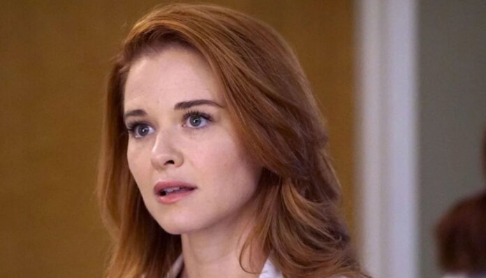 Sarah Drew tackles 'big fears' with her father's one piece of advice