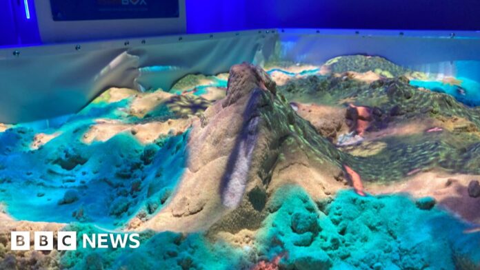 Shepreth Wildlife Park opens interactive conservation hub