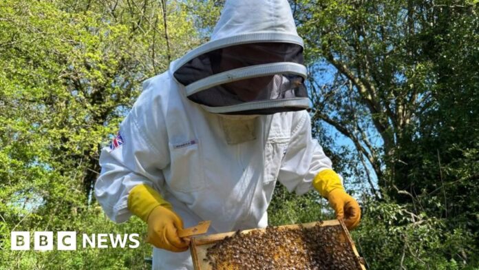 Shropshire teenager says beekeeping helped him rejoin school system